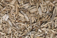 biomass boilers Butterknowle